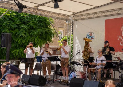 Weinfest in Eibelstadt mit der Ochsengau Musi