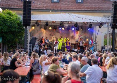 Das Weinfest mit Schlagerprinz & Band