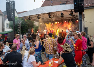 Das Weinfest mit Schlagerprinz & Band