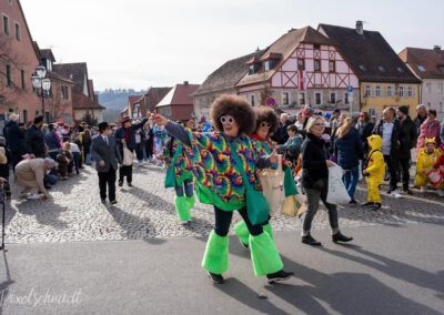 Fasching in Eibelstadt 2025