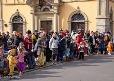 Fasching in Eibelstadt 2025