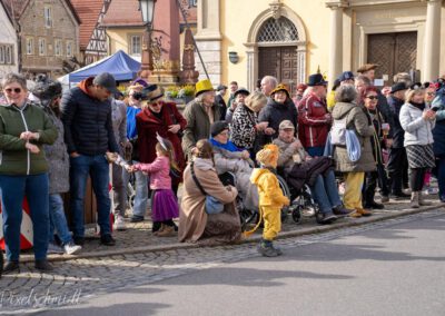 Fasching in Eibelstadt 2025