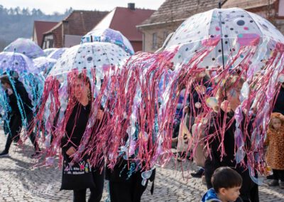 Fasching in Eibelstadt 2025