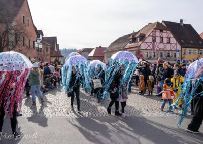 Fasching in Eibelstadt 2025