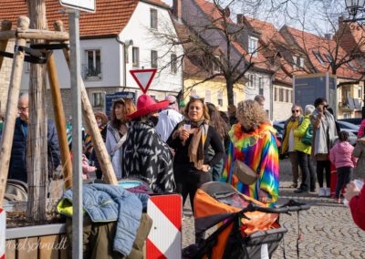 Fasching in Eibelstadt 2025