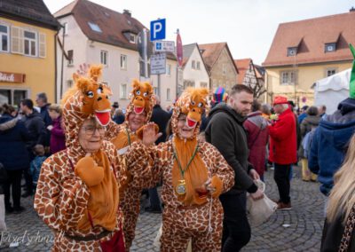 Fasching in Eibelstadt 2025