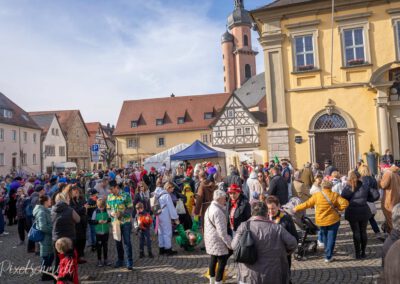 Fasching in Eibelstadt 2025